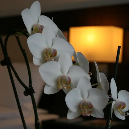 Hotel Western 4*
